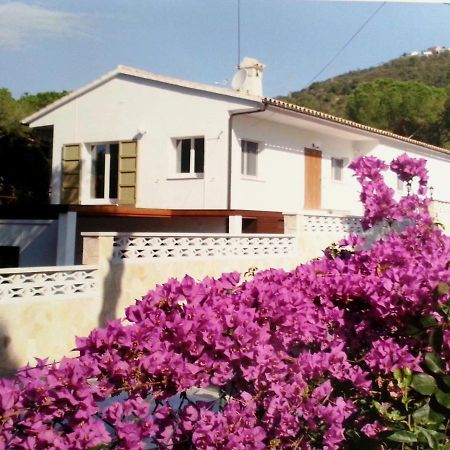 Villa Felices Juntos Castell-Platja d’Aro Exterior foto